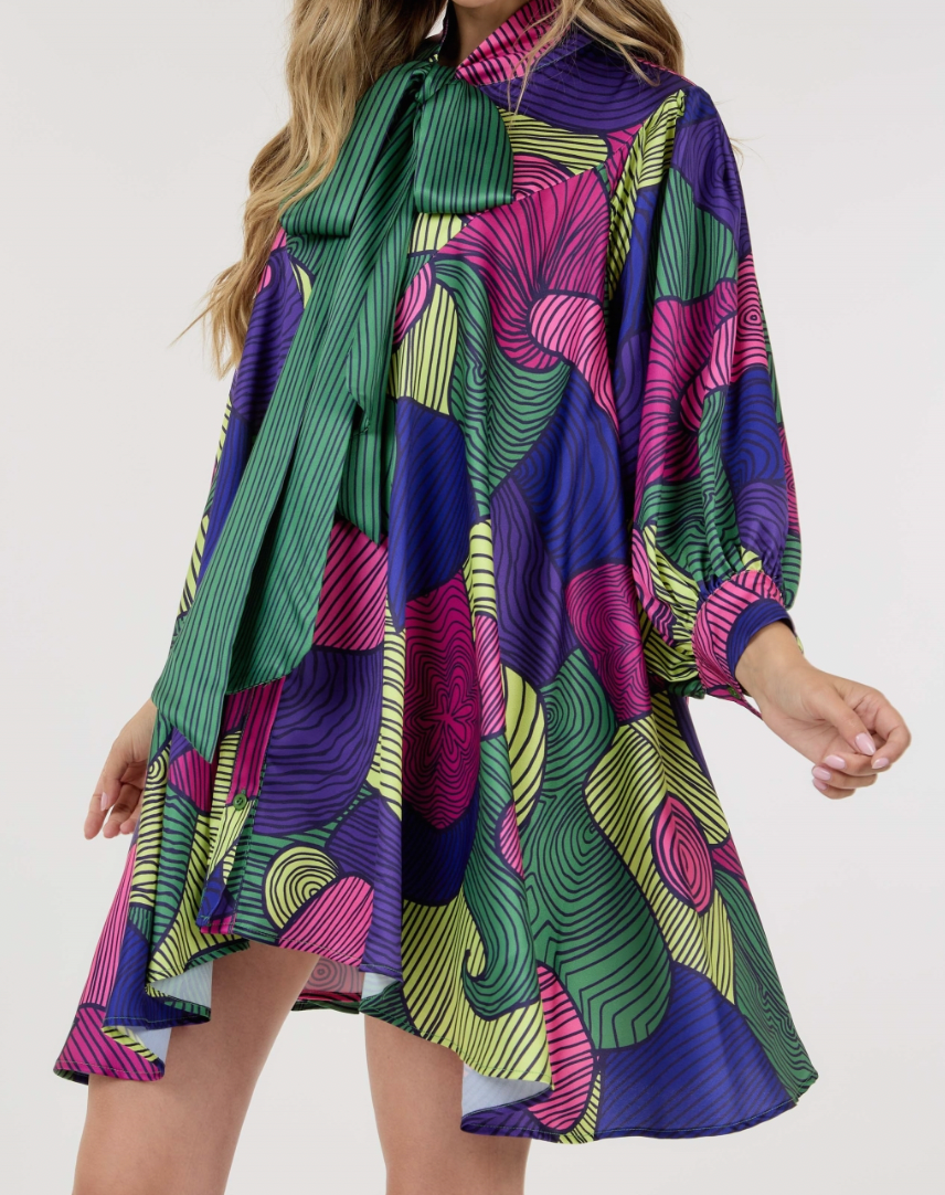 Colorful Print Button Up Dress